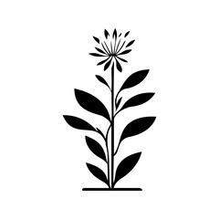 Elegant botanical illustration of a flowering plant with stylized leaves and blossoms