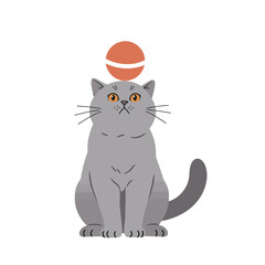 Obraz premium Cute cartoon cheeseburger character with lettuce tomato and sesame seed bun vector illustration 