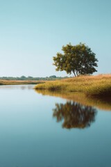 Fototapeta premium Clear reflections of trees in still water, Sunshine and blue sky