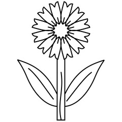 Corn flower icon
