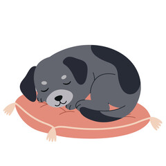 Cute toucan bird holding a flower wearing green hat cartoon vector illustration with orange and black colors 