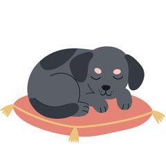 Cute toucan bird wearing green hat holding orange flower vector illustration with simple design 