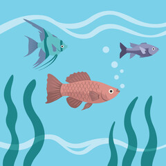 Naklejka premium Colorful tropical fish swimming underwater with seaweed and bubbles in blue ocean vector illustration 