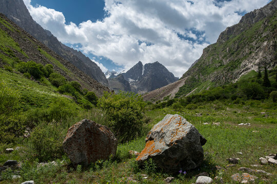 Wide angle landscape lush green valley, forest, wild white water river surrounded by high rocky mountains and glacier peaks in the background. Summer sunny day, blue sky. Kyrgyzstan, Central Asia.