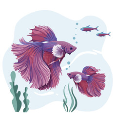 Betta fish swimming with small fish and underwater plants in stylized vector illustration 