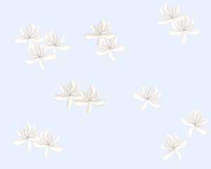 seamless white flower with pastel color background illustration. for printable or wrapping