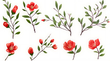 Detailed Set of Hand-drawn Red Flower Branches with Vibrant Green Leaves for Floral Designs