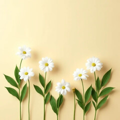 Fototapeta premium white flowers on wooden background