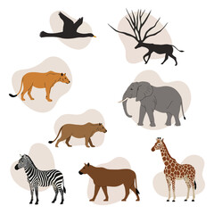 Obraz premium African wild animals collection including elephant giraffe zebra and more in simple vector style natural design 