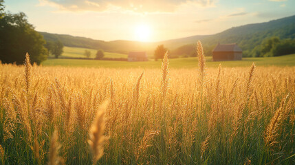 Golden wheat field glowing in the summer sunset with distant barns and rolling hills.