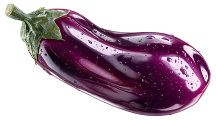 Single shiny purple eggplant with water drops