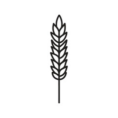 Linear Wheat Stalk Icon on Transparent Background Crop Harvest Agriculture Grain
