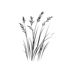 Minimalist Black Grasses Silhouette on Transparent Background