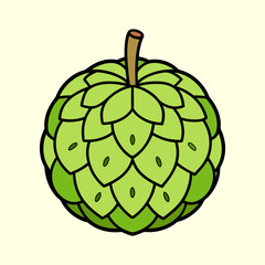 A Detailed Illustration of a Single Cherimoya Fruit with a Green Hue and a Scaly Texture