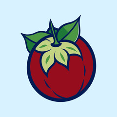 Vibrant Red Mangosteen Fruit Illustration with Green Leaves Detailed Vector Graphic Design