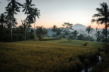 The sun rises over Mount Agung which is a photo from Gianyar