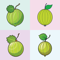 Collection of Gooseberries Green Fruit with Leaves Illustration