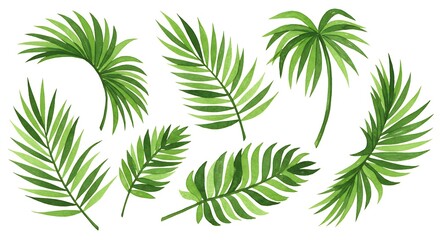 Lush Tropical Palm Fronds: Vibrant Green Illustration Set AI Generated
