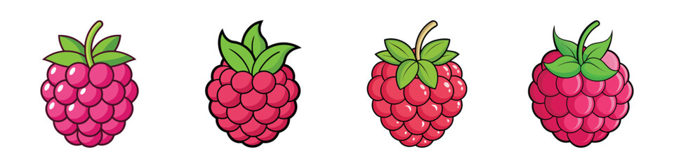 Four cartoon raspberries showing slightly different shapes and different angles of view