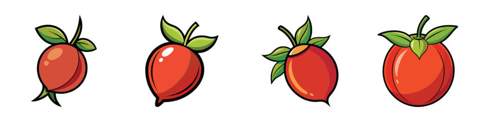 Cartoon Stylized Rosehips Set in Various Shapes and Growing Stages Illustration
