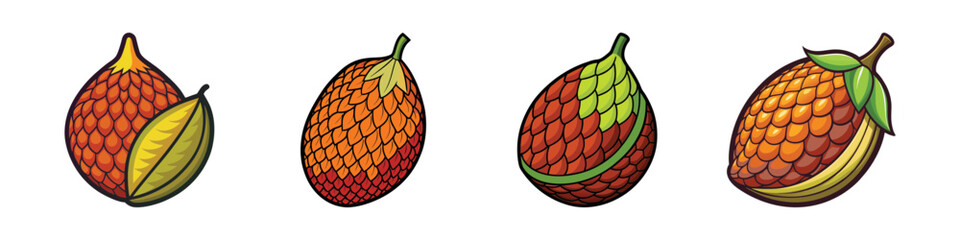 Set of Four Cartoon Snake Fruit or Salak Fruits with Scales