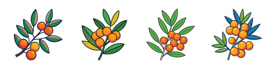 Sea Buckthorn Branch Vector Illustration Set with Vibrant Orange Berries and Green Leaves