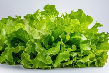 Fresh Crisp Green Lettuce Leaves with Vibrant Texture Perfect for Healthy Eating and Culinary Presentation