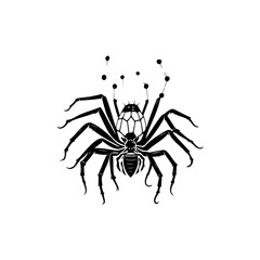 Monochrome Arachnid Illustration with Exaggerated Features on Isolated Backdrop