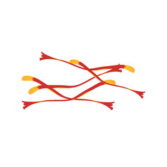 Red Saffron Thread Vector Illustration 