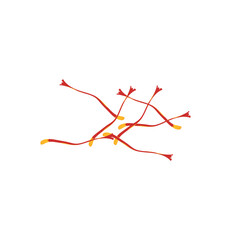 Red Saffron Thread Vector Illustration 