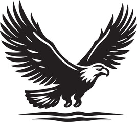 Fototapeta premium eagle vector illustration, eagle in a white background