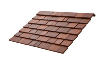 Dramatic contrast, brown roof against a dark, mysterious backdrop brown