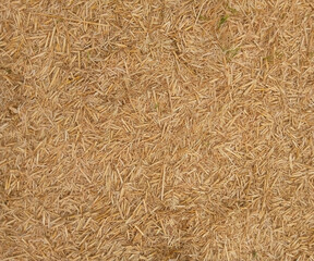 Straw Mulch Ground Cover