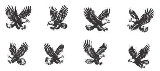 Flying Eagle Logo Design On White Background. vector
