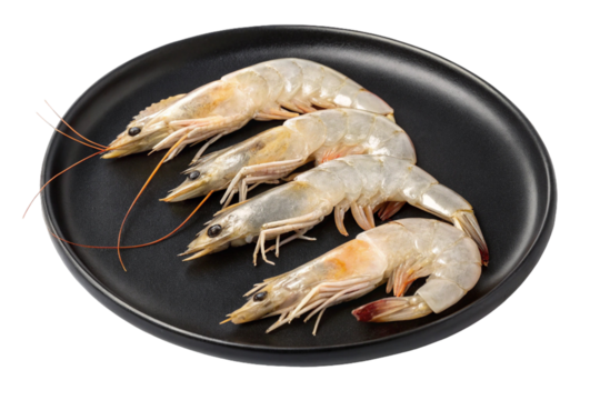 Fresh raw shrimp seafood on white