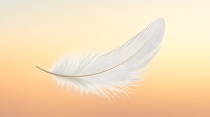Obraz premium Weightless tranquility, a soft feather gently floating in serene ambiance