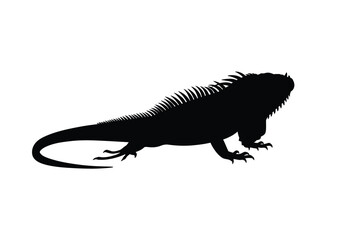 Fototapeta premium Iguana silhouette. This image features the dark outline of an iguana, highlighting its distinctive spiked crest, elongated body, and reptilian nature, wildlife. clipart illustration design.