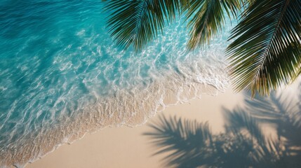 a serene view of the beach with palm tree shadows on sand, and crystal clear turquoise water. © THESUN
