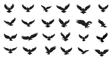Flying Eagle Logo Design On White Background. vector