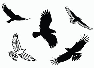 Artistic Representation of Birds in Different Flight Positions