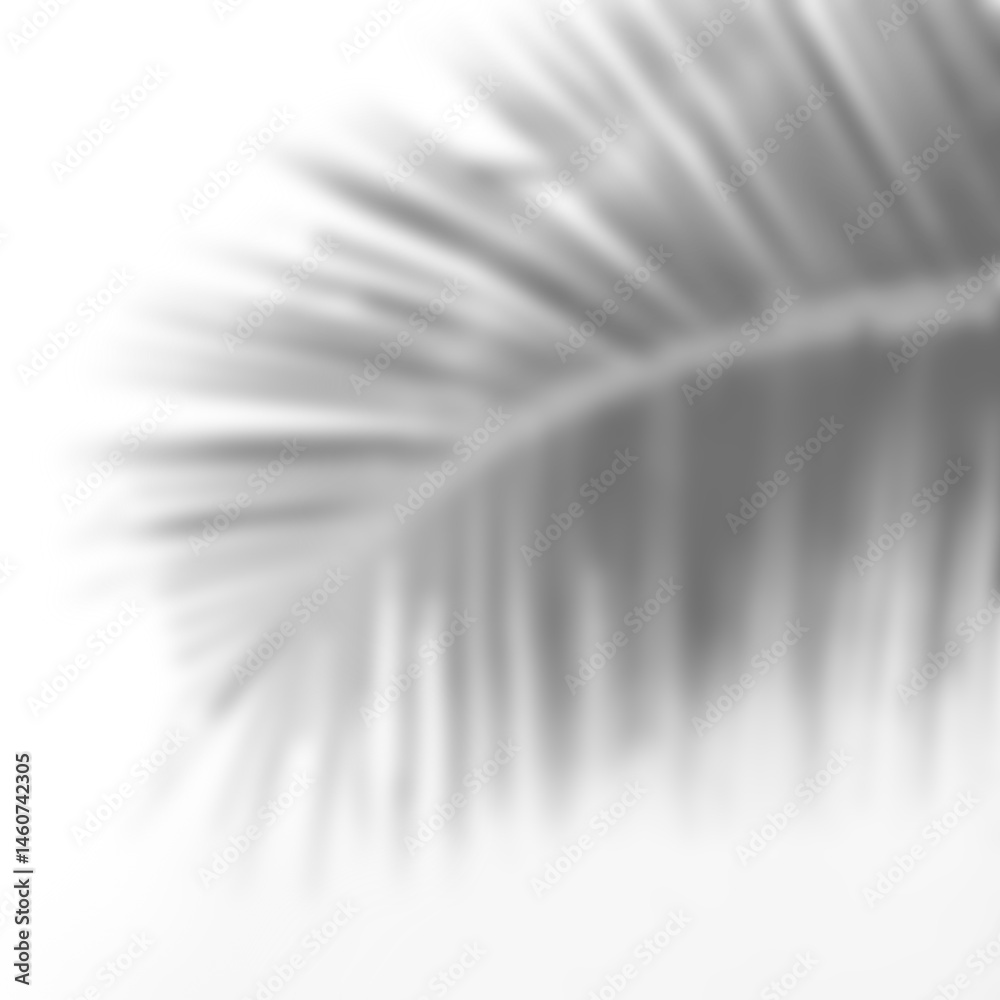 Fototapete Branch shadow overlay with soft leaf detail creates gentle abstract pattern for natural design backgrounds. Mockup for spring summer product display design elements PNG