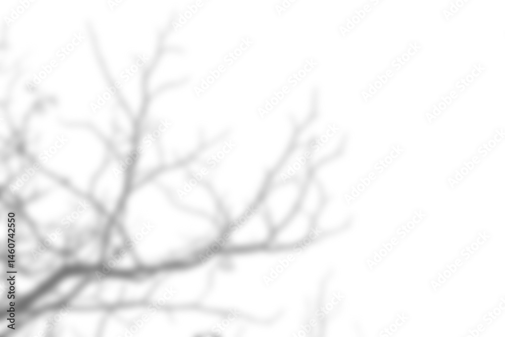 Poster Branch and leaf shadow overlay creates soft abstract pattern on transparency background for natural design and creative projects. Mockup for spring summer product display design elements PNG
