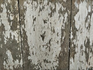 Fototapeta premium Abstrack old rustic weathered wood texture background