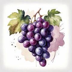 Fototapeta premium Watercolor Grapes Painting with Leaves and Abstract Background