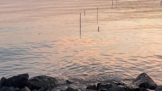 Serene Sea View at Bangpu