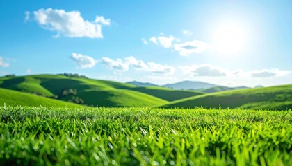 A lush green field with rolling hills under a bright blue sky and sunshine.