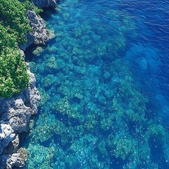 Obraz premium Crystal-clear ocean meets rocky shore