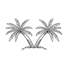 Hand drawn twin palm trees with coconuts. Simple hand drawn vector illustration with black outline. Sketch in ink. Two Palm Trees Sketch on a Small Island