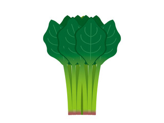 シンプルなホウレンソウ