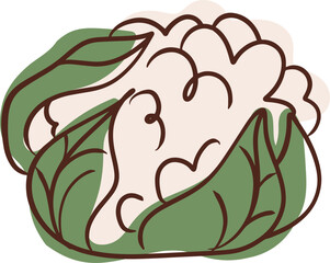 hand drawn vector illustration of an broccoli